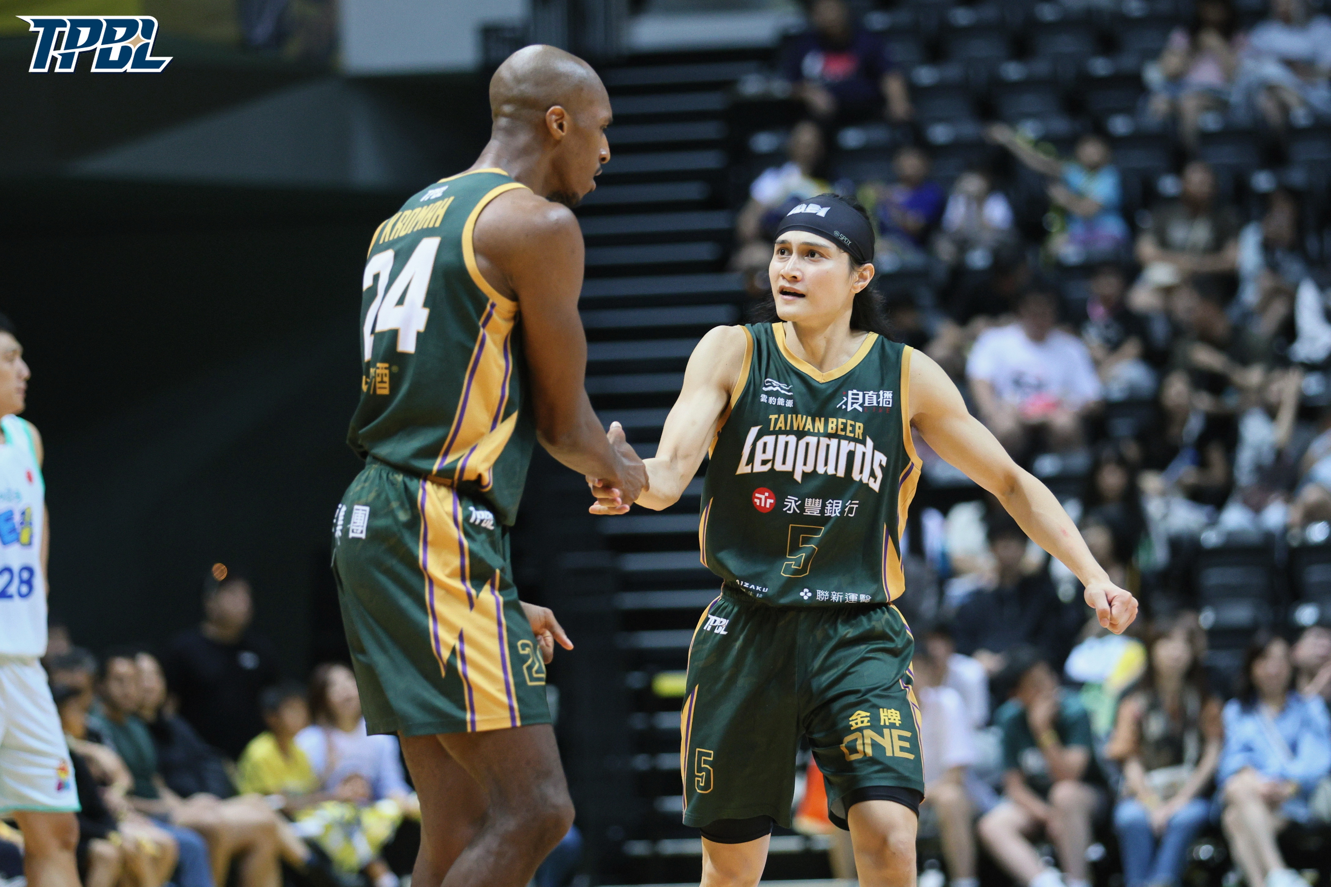 TPBL》關鍵戰夢想家僅登錄2洋將　雲豹搶挑戰賽門票大利多