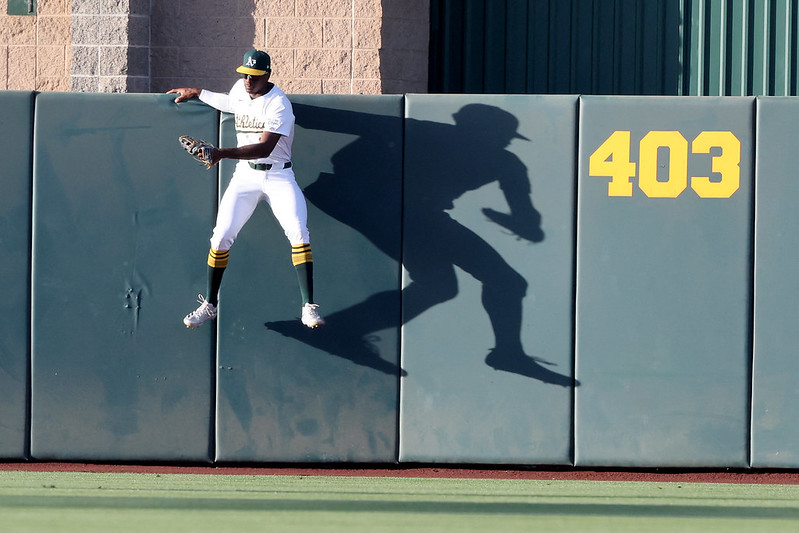 MLB》Clarke再爬牆沒收全壘打　不到1月累積驚人防守貢獻