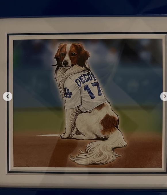 MLB》超稀有的珍寶！　大谷翔平愛犬出《遊戲王》卡片：輪到我抽卡