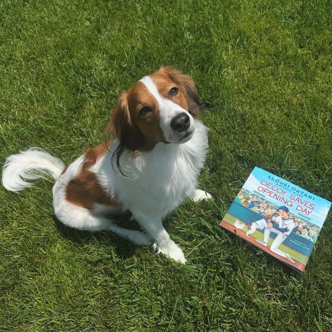 MLB》大谷翔平愛犬出版繪本去拯救開幕戰　收益捐給流浪犬收容所