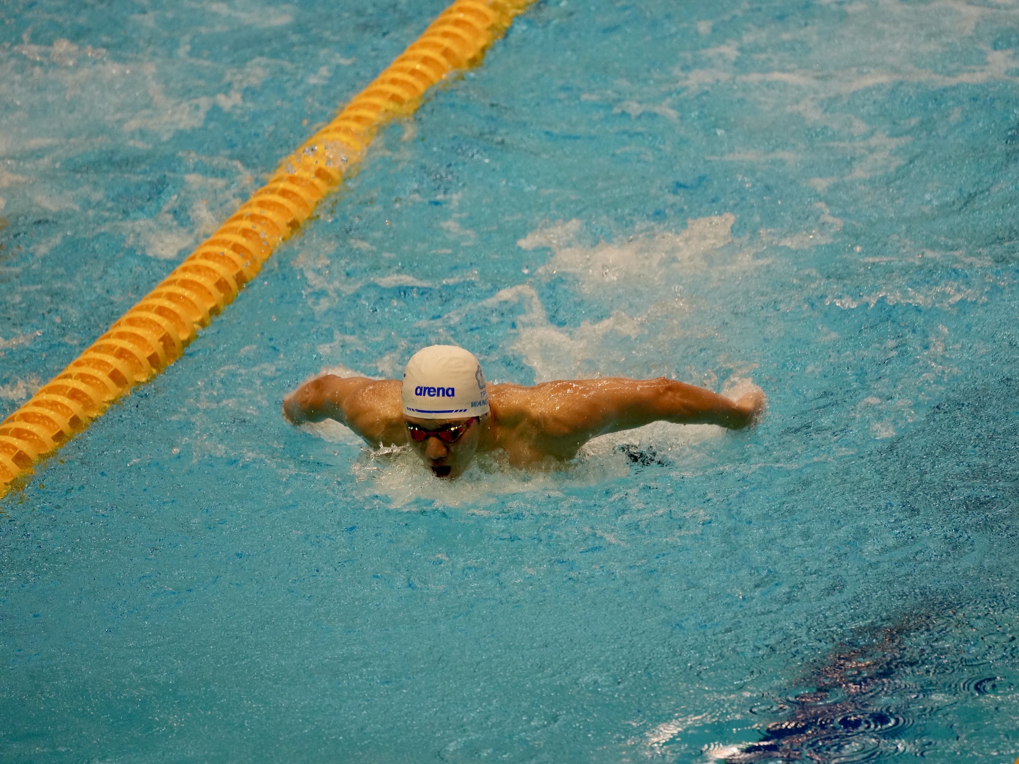 游泳》主項200蝶稱霸　王冠閎收官日奪本屆第2金