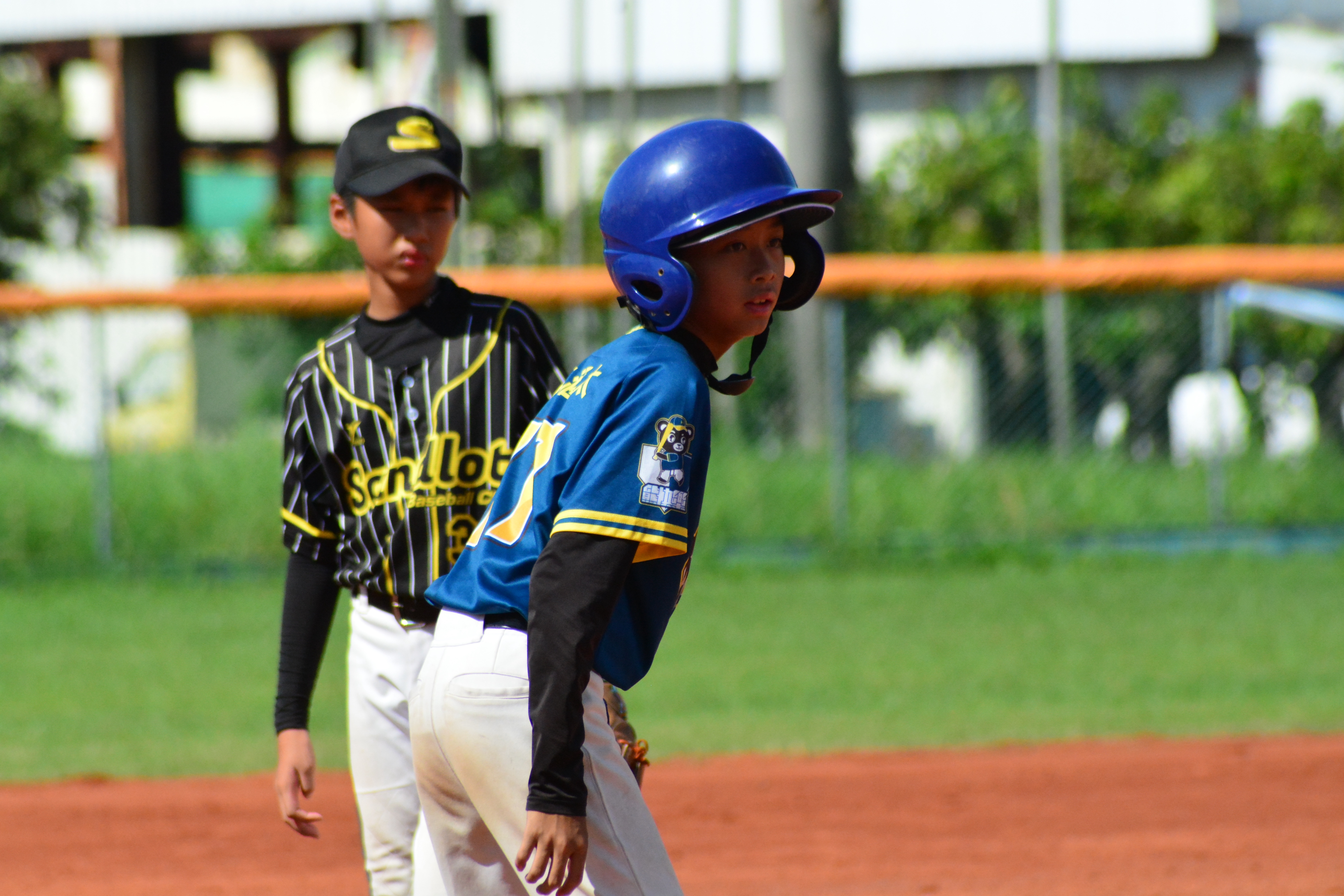 全國社區棒球賽》首局攻下4分奠下勝基 台鋼熊快樂C勇奪U12第五名