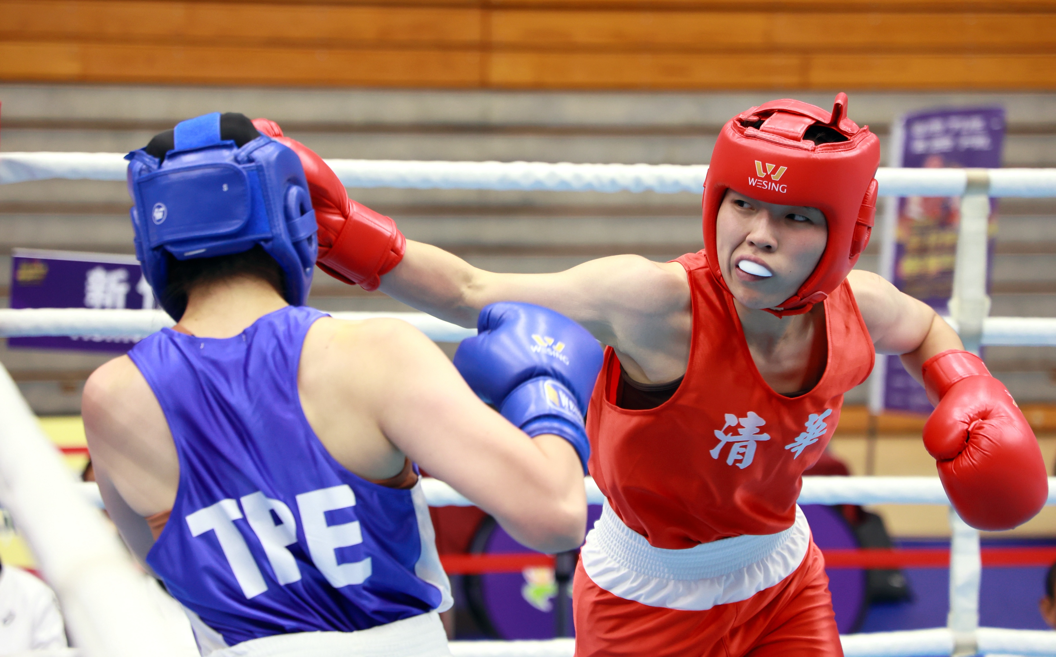 臺北城市盃拳擊邀請賽》吳詩儀陪練邱智琳與奧運銅牌並木月海爭冠　新亞洲拳王邱正爆冷　