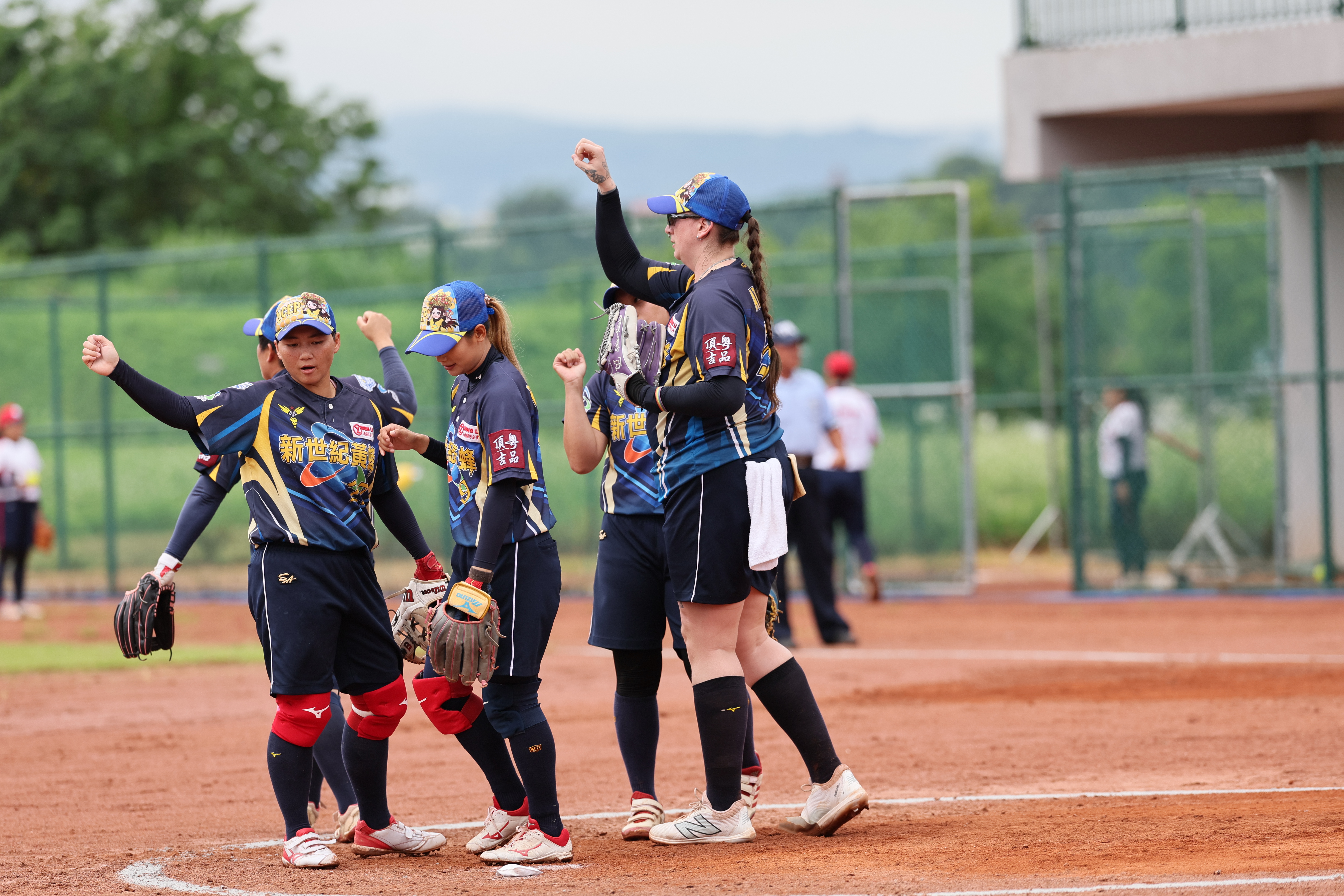 企壘》2屆冠軍新世紀黃蜂穩扎穩打　瞄準季後賽下剋上