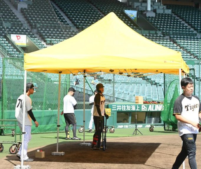 日職》阪神監督藤川球兒再推消暑妙招　打擊網後方架「遮陽帳篷」