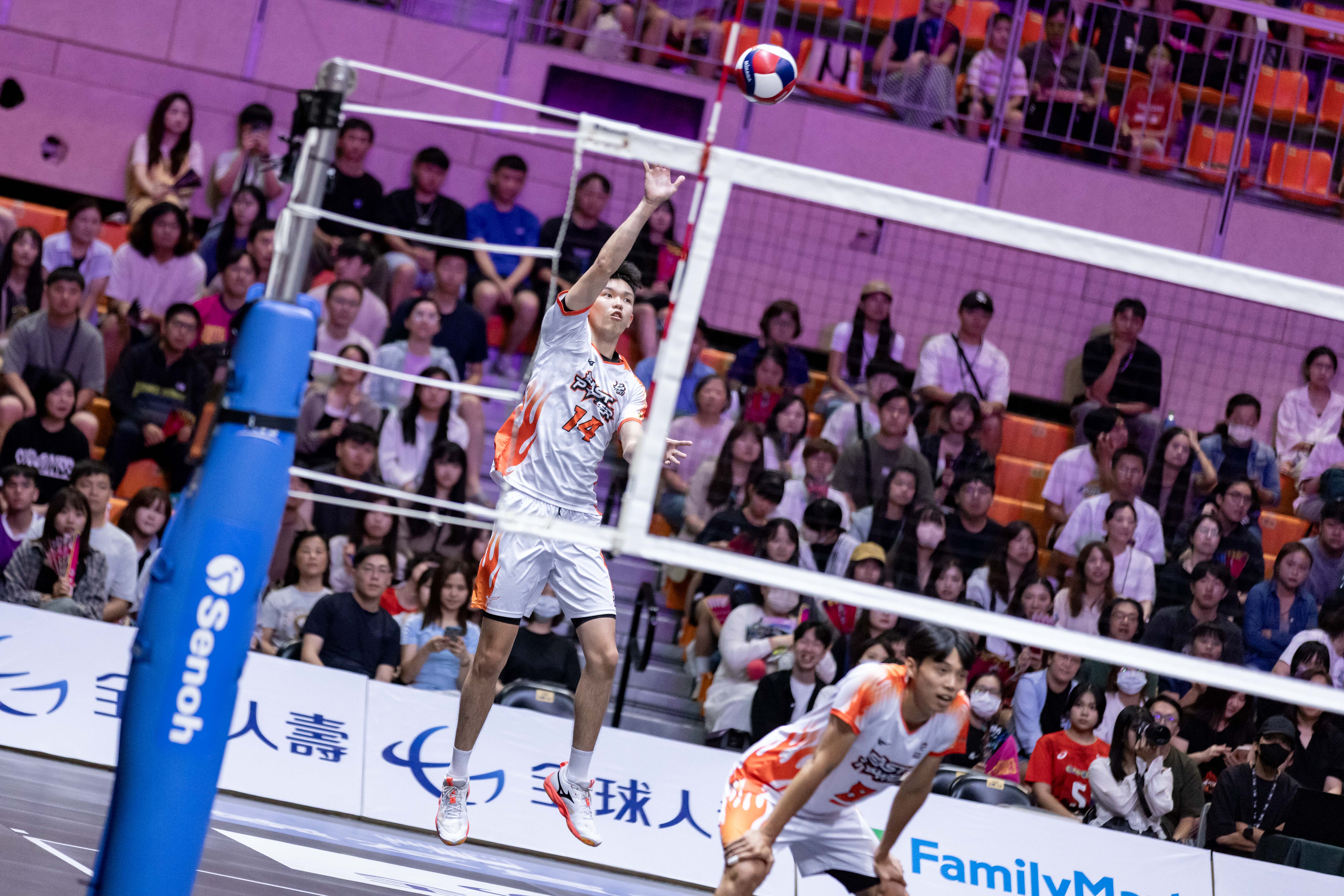 TPVL》遭東京巨熊橫掃　臺北伊斯特仍須提升鬥志與凝聚力