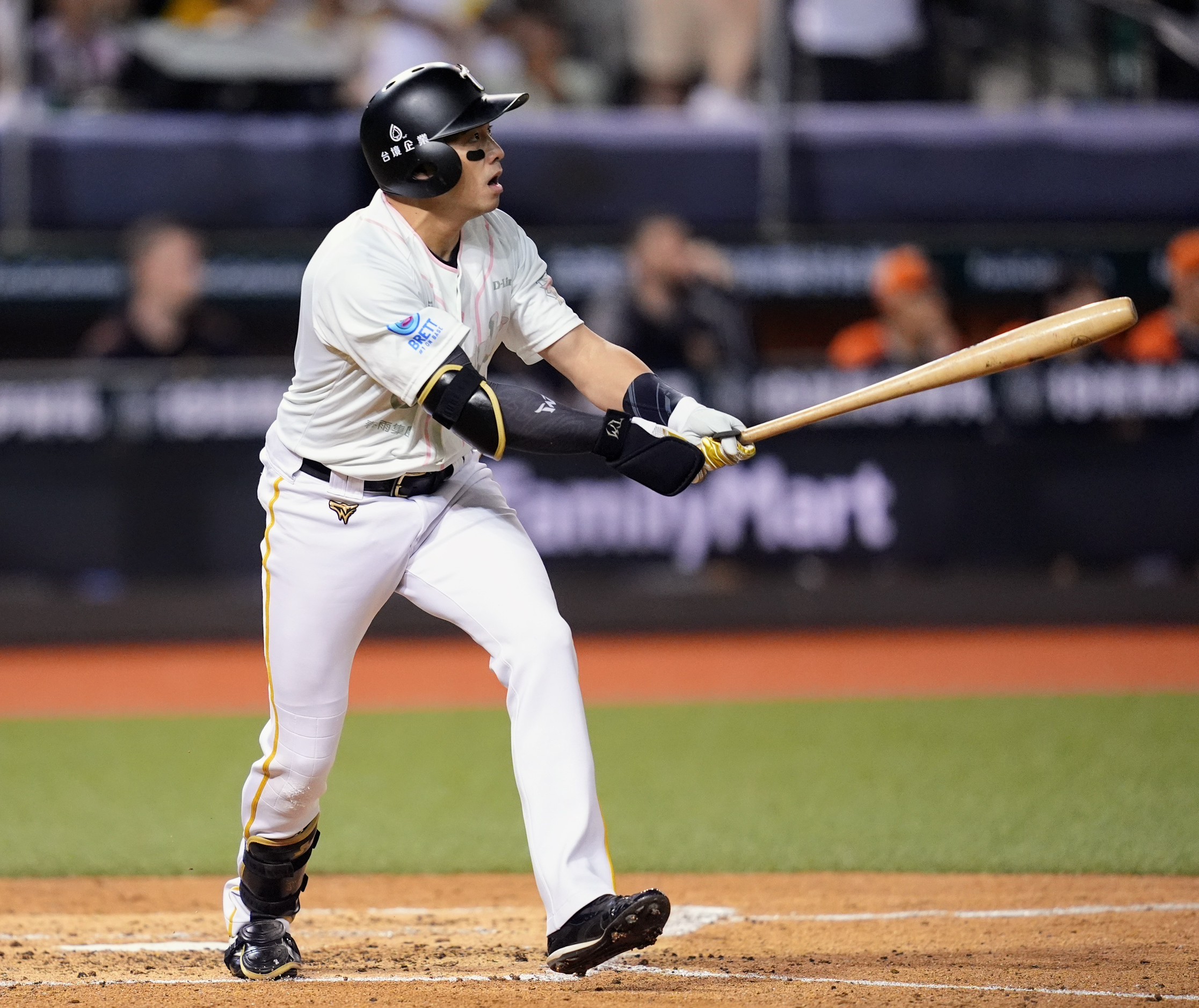 台鋼雄鷹》洪總想要誇一下吳念庭　對顏郁軒寄予厚望