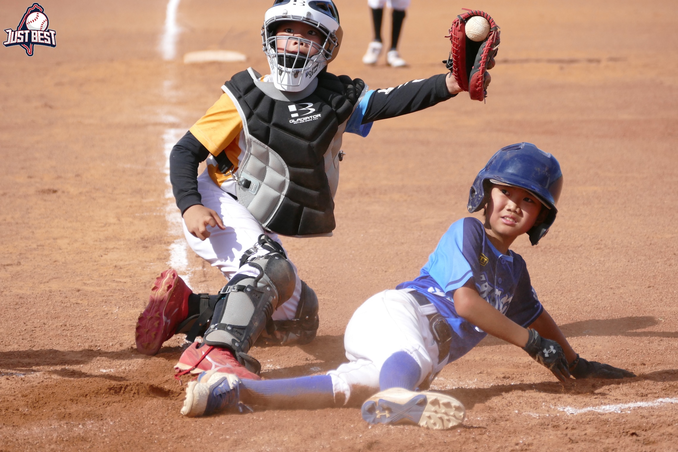 桃園雲豹就是棒》小小馬猛烈火力完封好棒河馬 高璿鎧致勝全壘打助新竹小戰士險勝小小馬