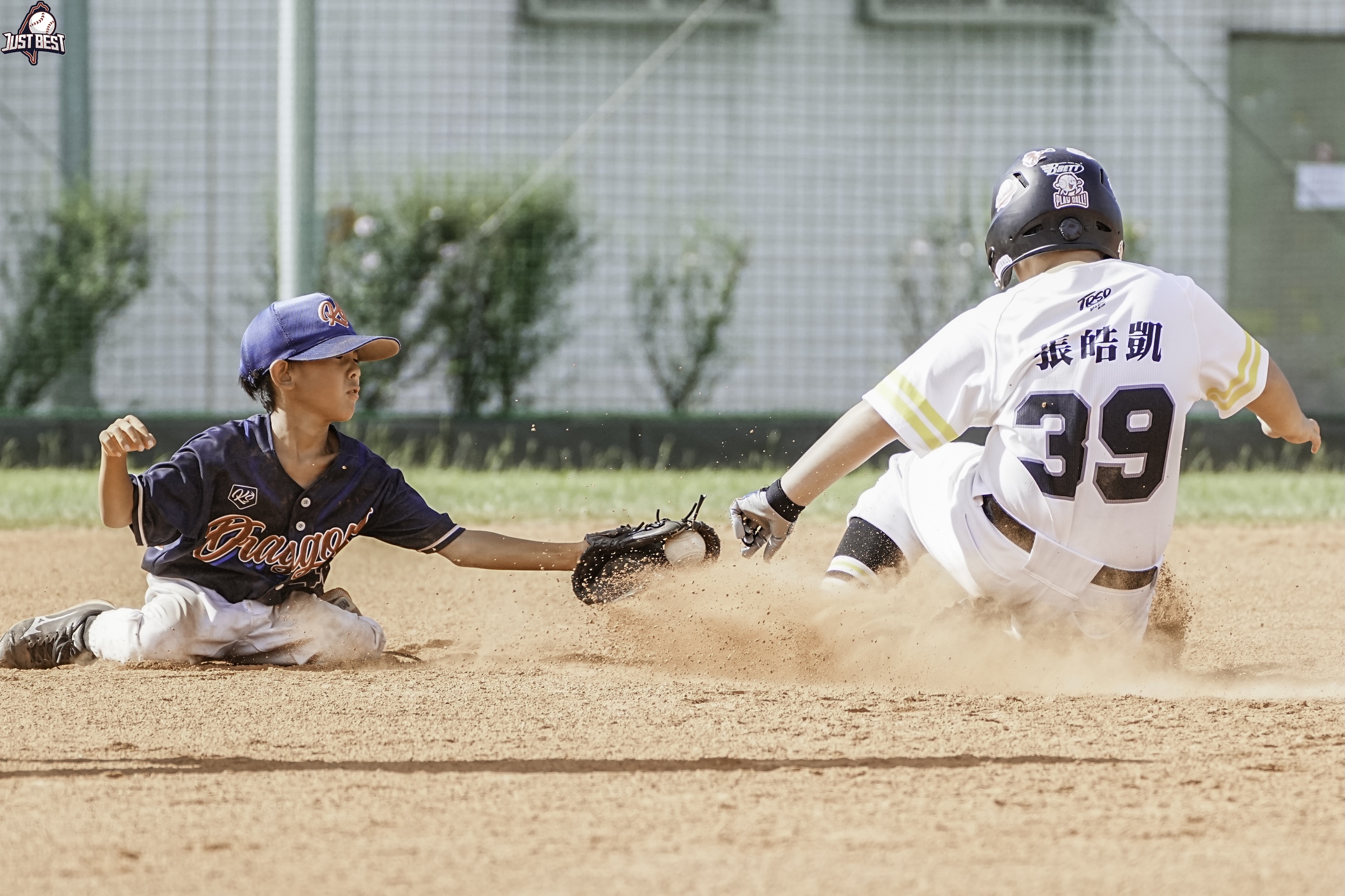 臺北就是棒》極光鷹大放異彩收連勝 KS龍展現韌性與小隼鷹握手言和