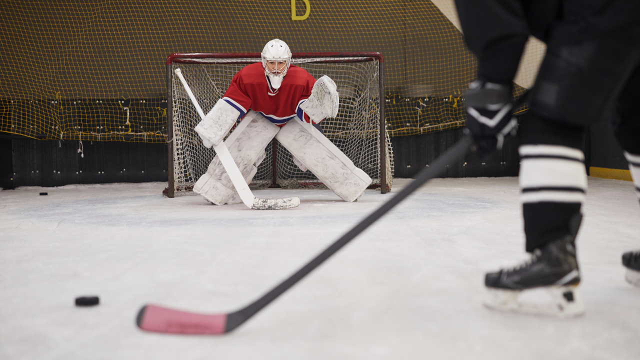🔥【德國冰球焦點戰】冰獅主場強勢迎戰黑豹，勝負天平傾向主隊！ 🏒💥
