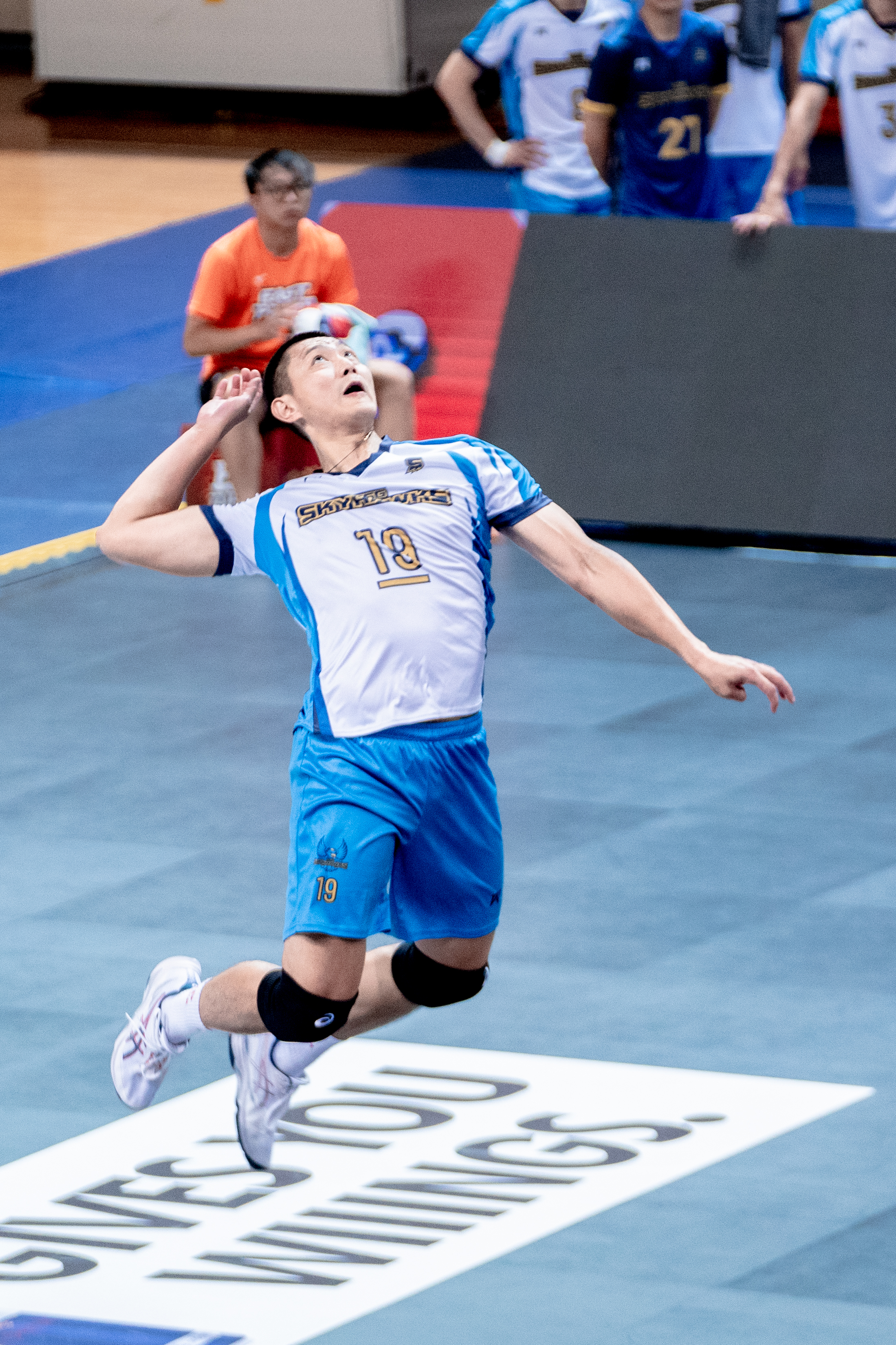 TPVL》台鋼天鷹奪隊史首勝　荷蘭主帥：關鍵是求勝意志  