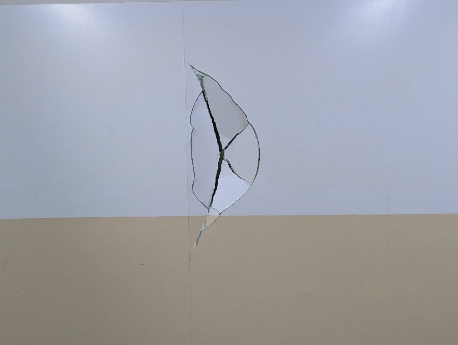 TPBL》沃許本健身球「一丟爆牆」成打卡點　國王將詢問報價修補