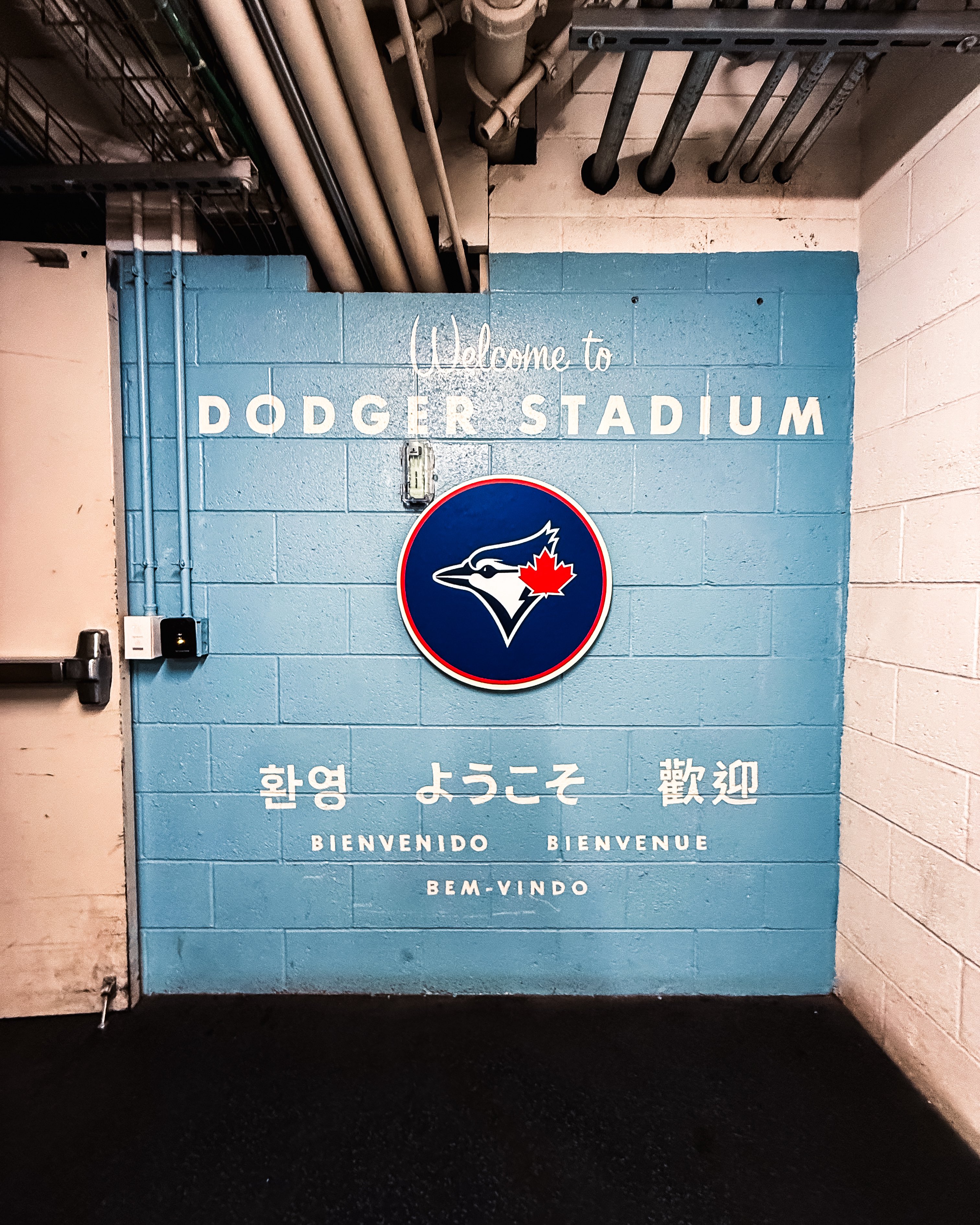 MLB》藍鳥教頭：世界大賽每一場都是獨立的短期決戰　被問平常會看大谷嗎？如果我還醒著