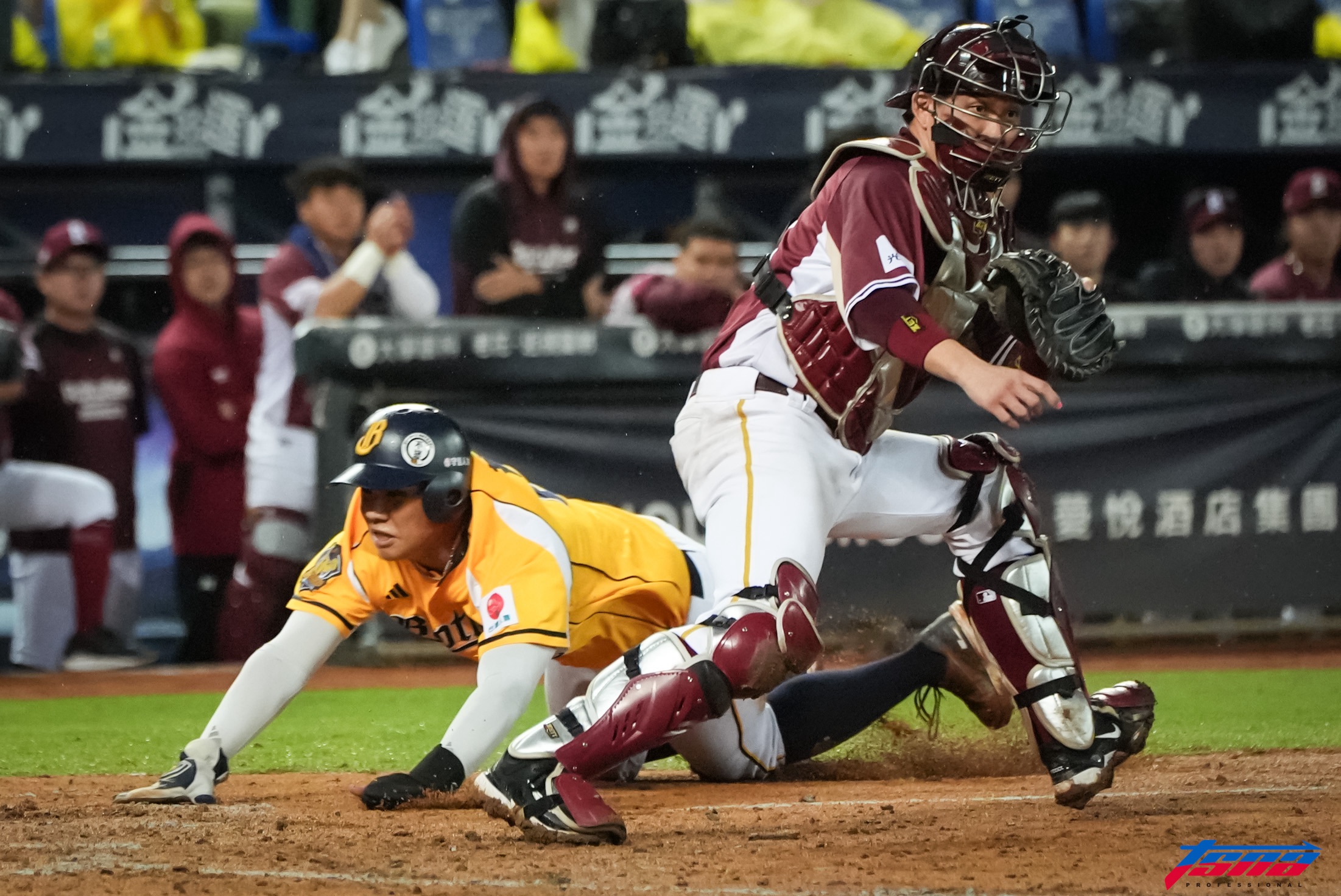 台灣大賽》林智平要命失誤送分！　中信兄弟黃韋盛頭部滑壘超前樂天桃猿