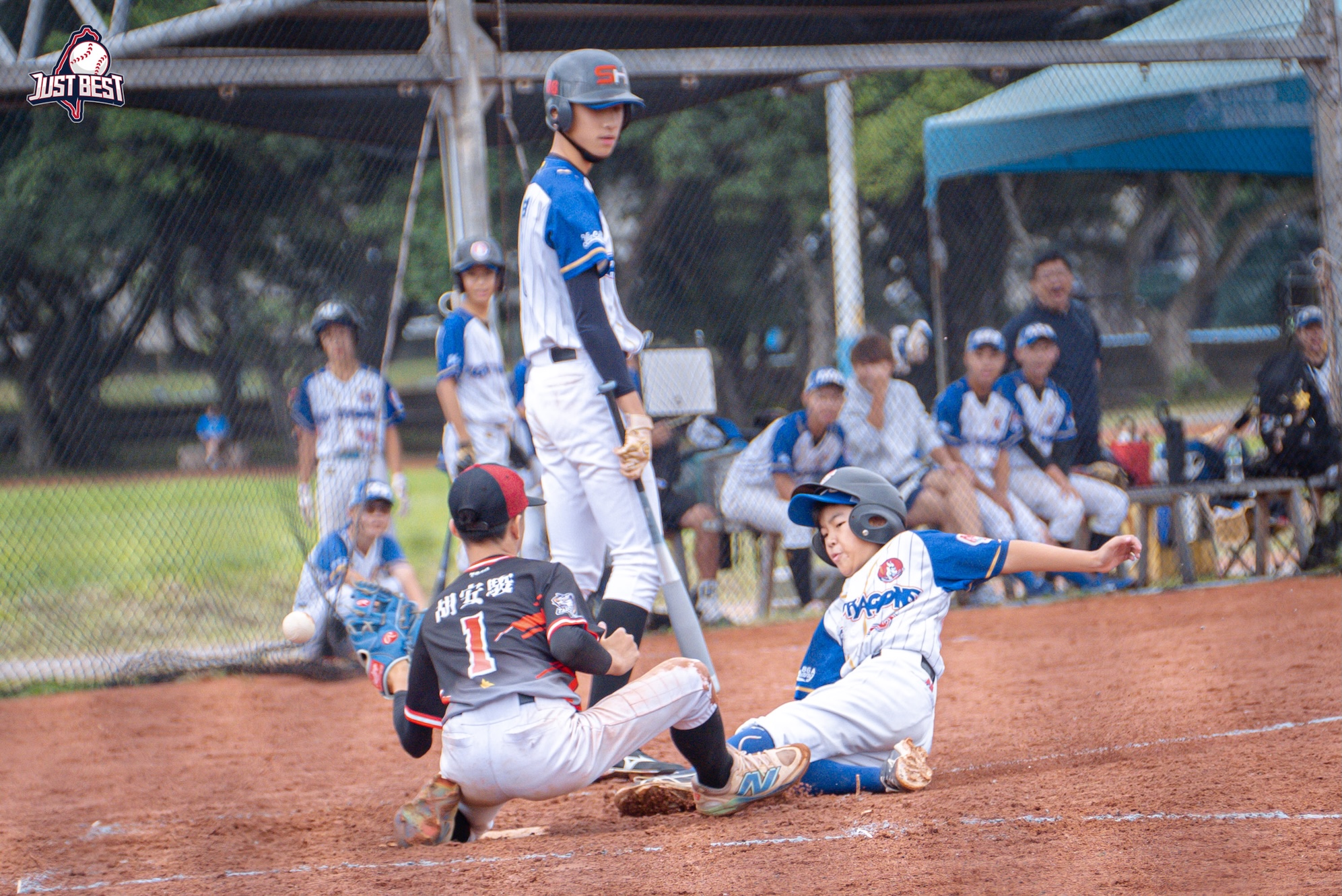 臺北就是棒》KGB龍連勝穩居龍頭 文山社區緊追其後 野牛男孩喜收第二勝 