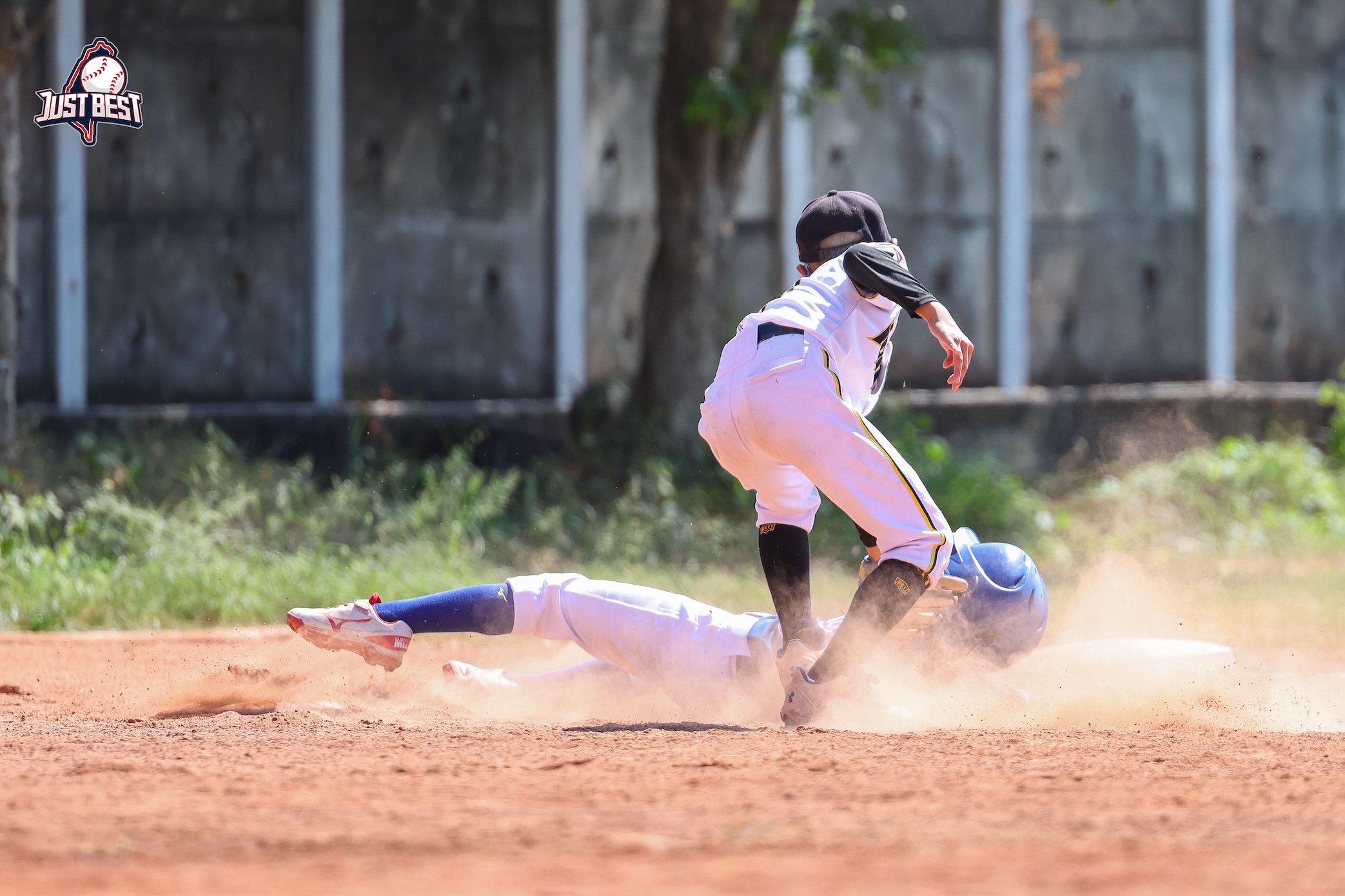 臺中就是棒》台中仁美強勢連勝登頂龍頭 台中小海盜(白)吞下二連敗暫居第二
