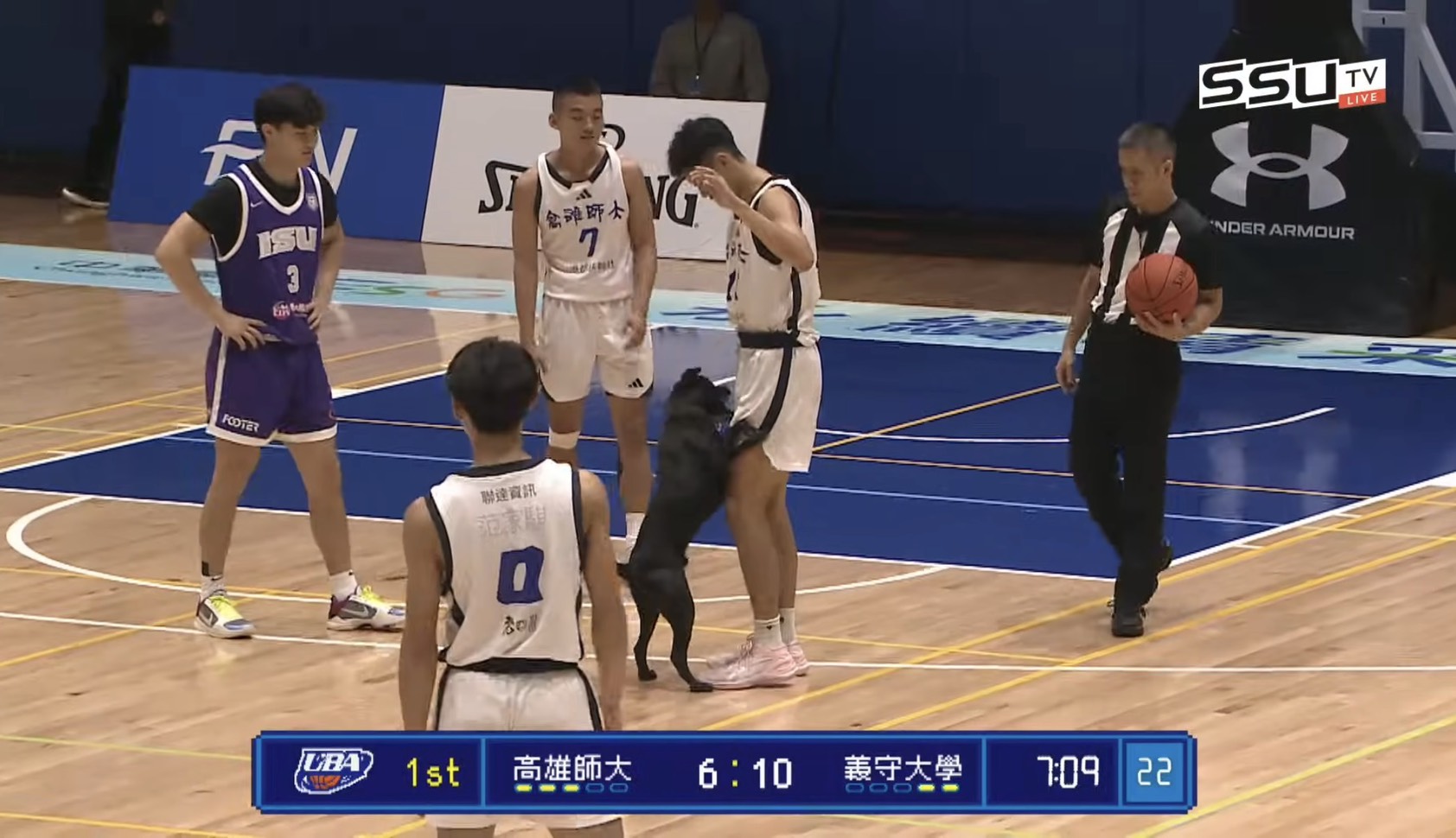 富邦UBA》義守交手高師出現插曲！　有「毛小孩」衝進場咬球員球鞋