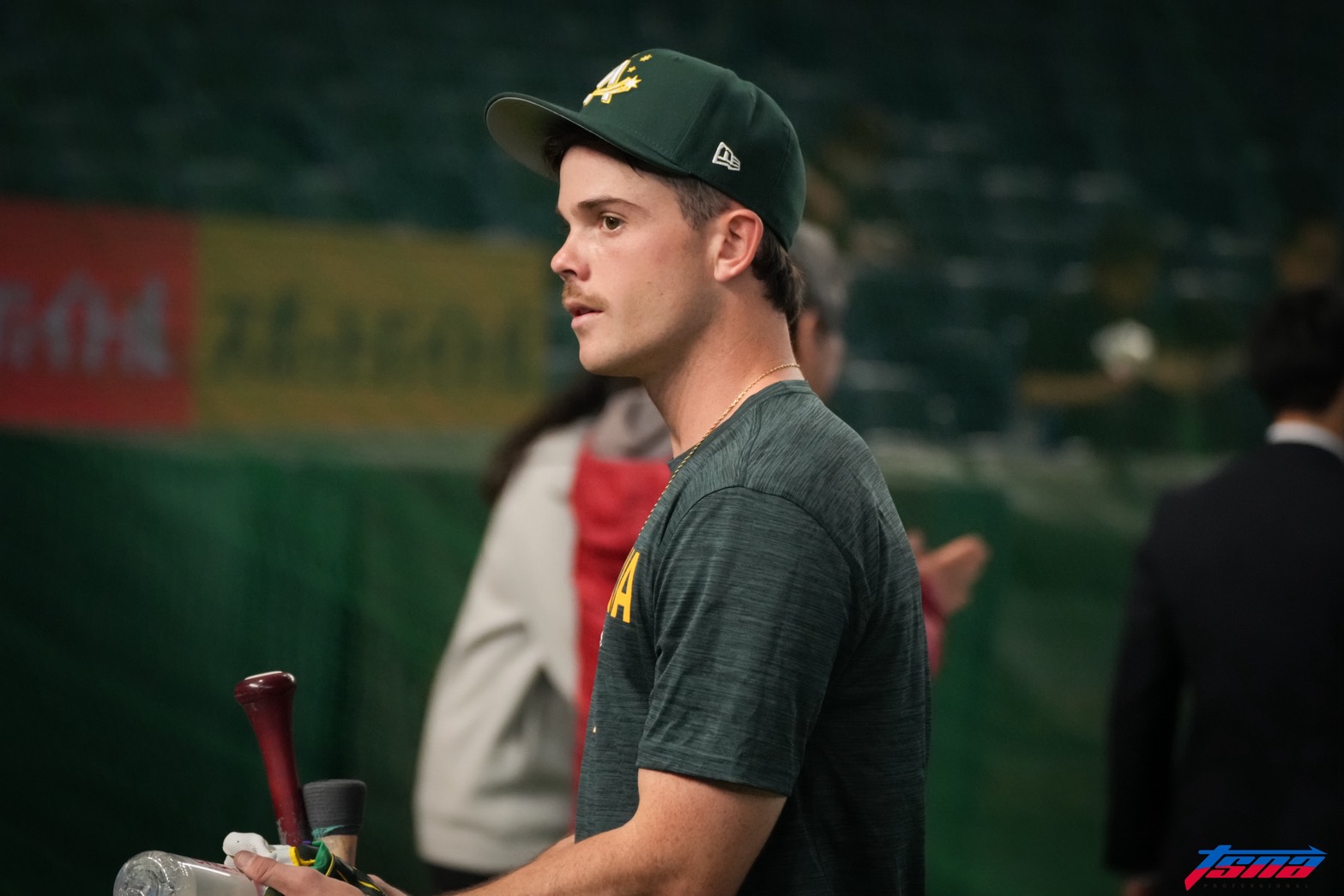 WBC》面對台灣不好打！　澳洲排出超強陣容迎戰