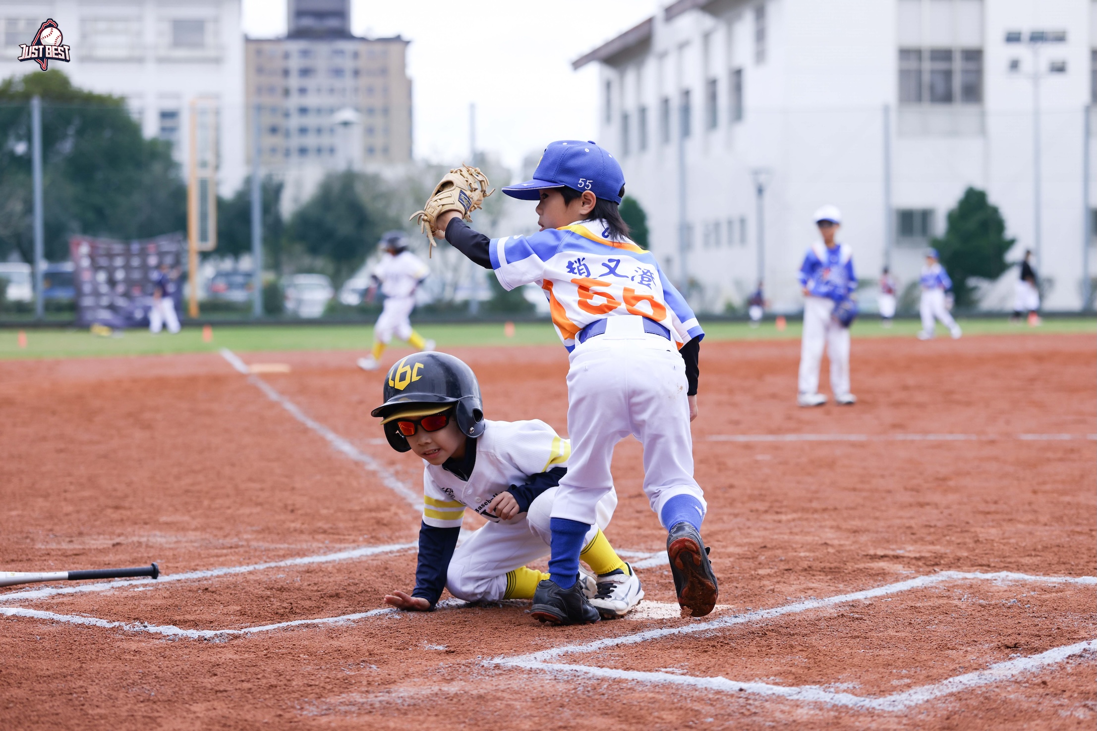臺北就是棒》U8大聯盟熱血開季！極光鷹二連勝展銳氣，好棒河馬奮力追擊！
