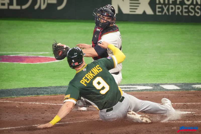 WBC》東京巨蛋C組開打3場火力四射9轟　期待台灣開火