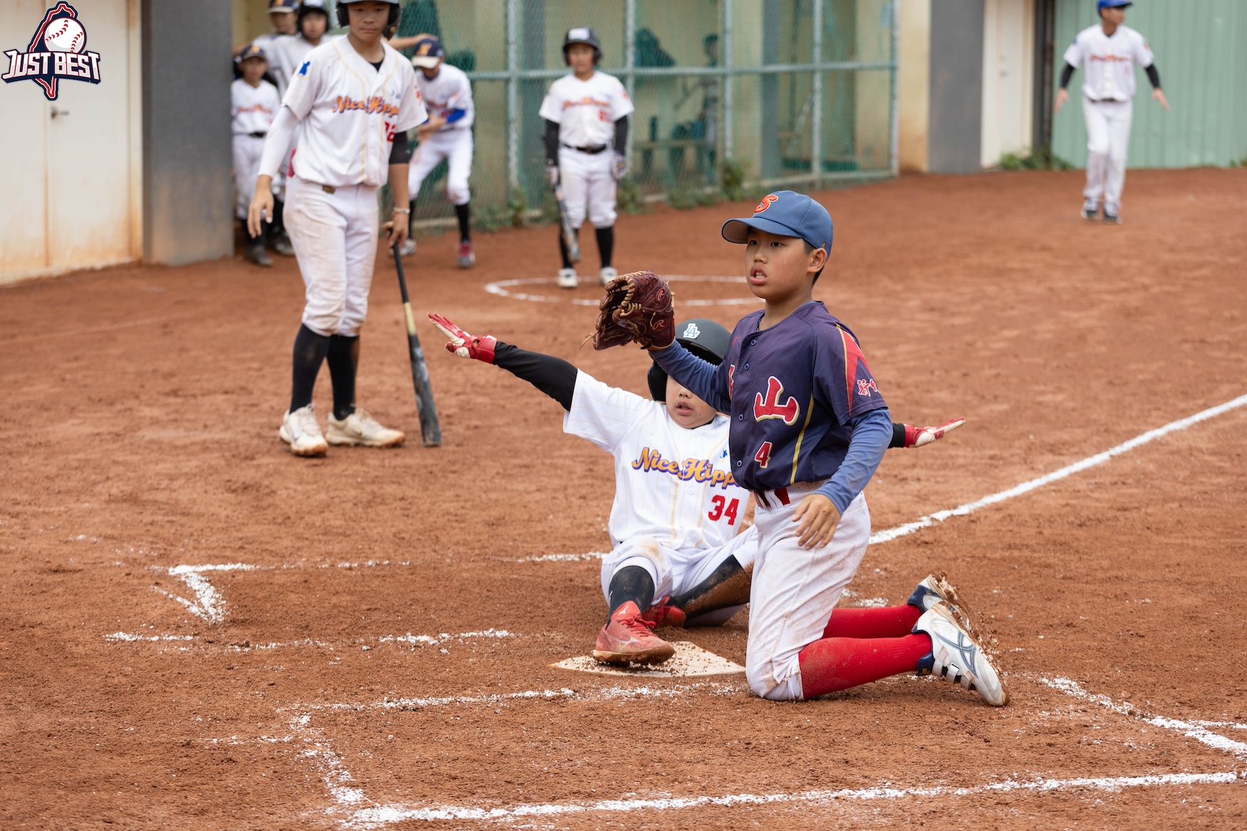 桃園雲豹就是棒》新竹青山社區強勢逆轉泰山河馬 新竹活力領航者氣勢如虹二連勝