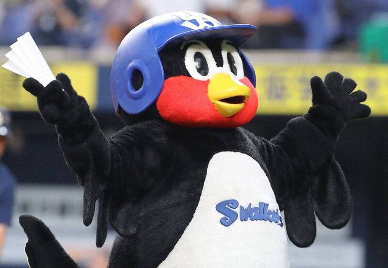 日職》燕九郎要回來了！　3月31日在主場神宮球場再跟大家見面