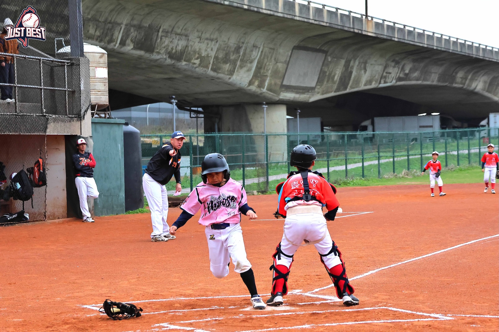 桃園雲豹就是棒》信義飛燕火力凶猛旗開得勝，KEEP棒球學院永不放棄逆轉奪勝