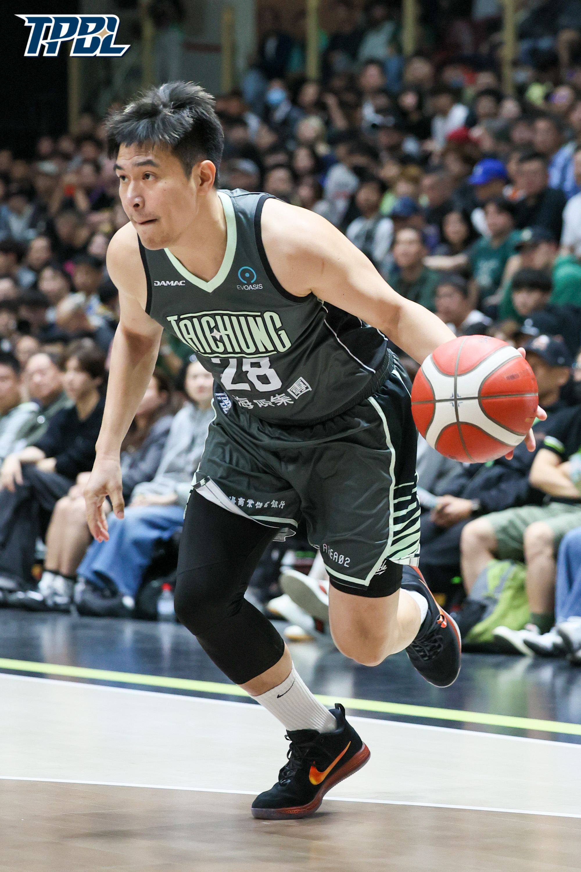 TPBL》夢想家打敗國王9連勝　創新聯盟紀錄