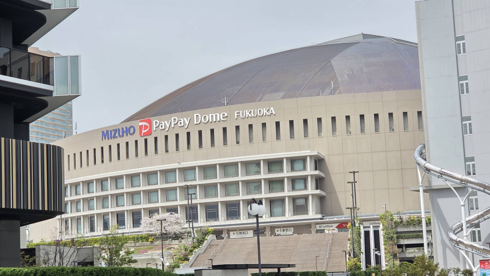 日職》想飛福岡為徐若熙應援　軟銀鷹主球場怎麼去