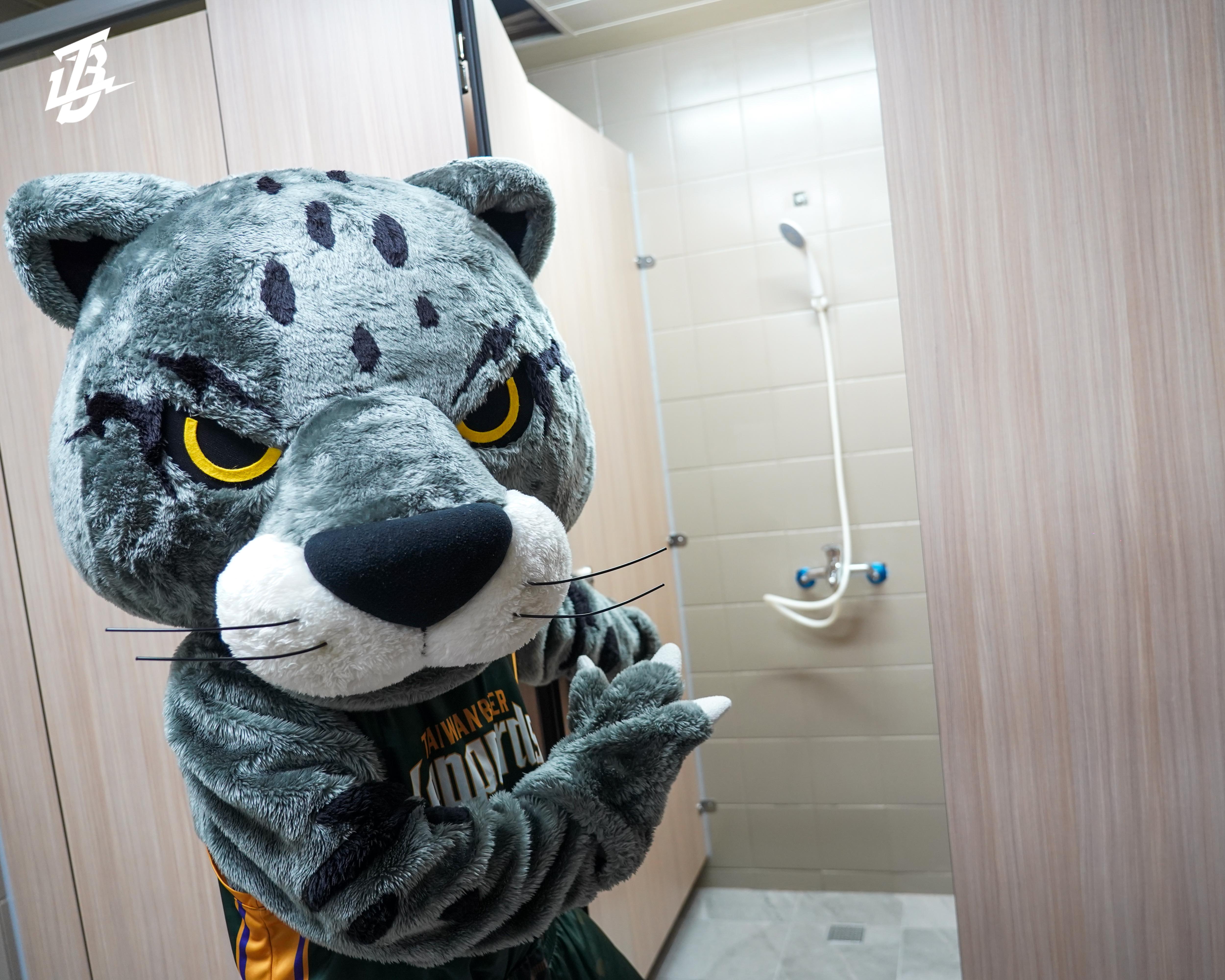 TPBL》桃園巨蛋升級回歸！　雲豹開箱新主場、3.4億打造全新觀賽體驗