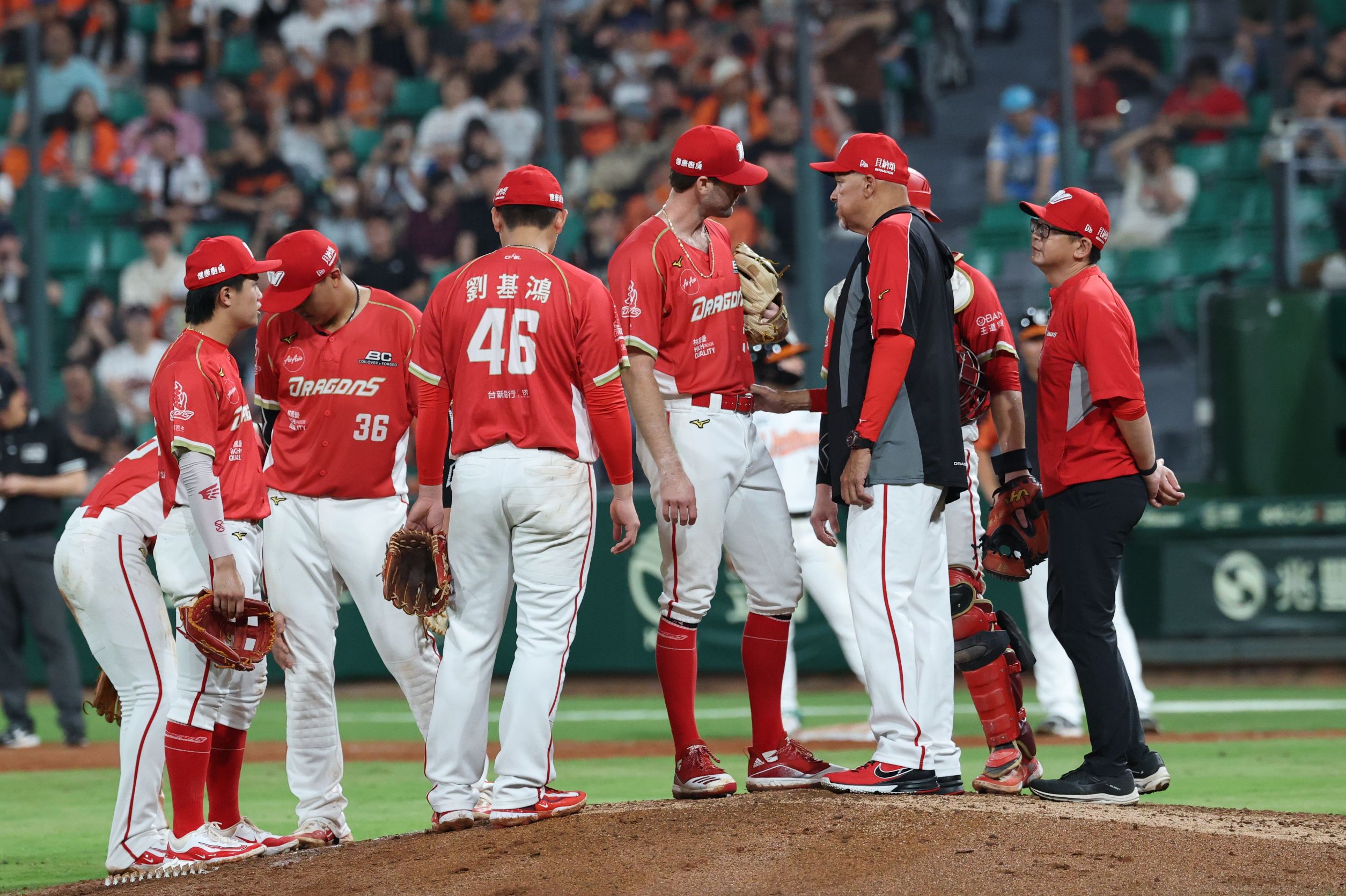 味全龍》離開中職3年改披龍袍帶出超強投手群　納瓦洛的棒球哲學