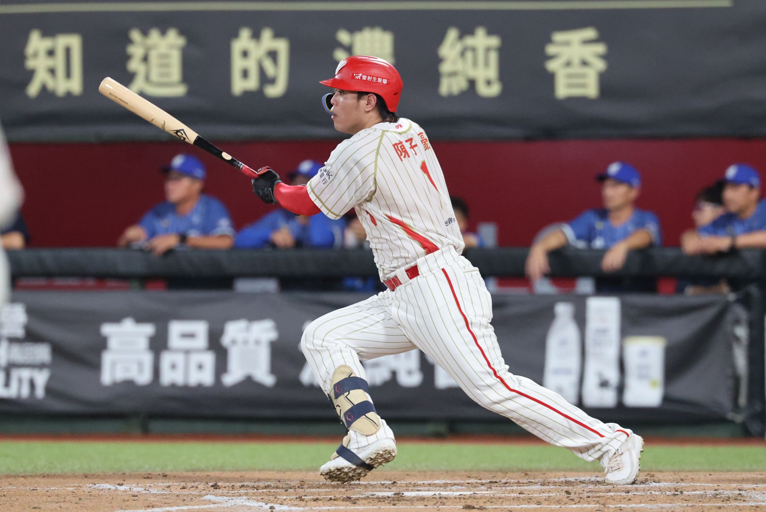 味全龍》陳子豪敲出致勝安打當英雄！　葉君璋點出今年龍隊最大不同