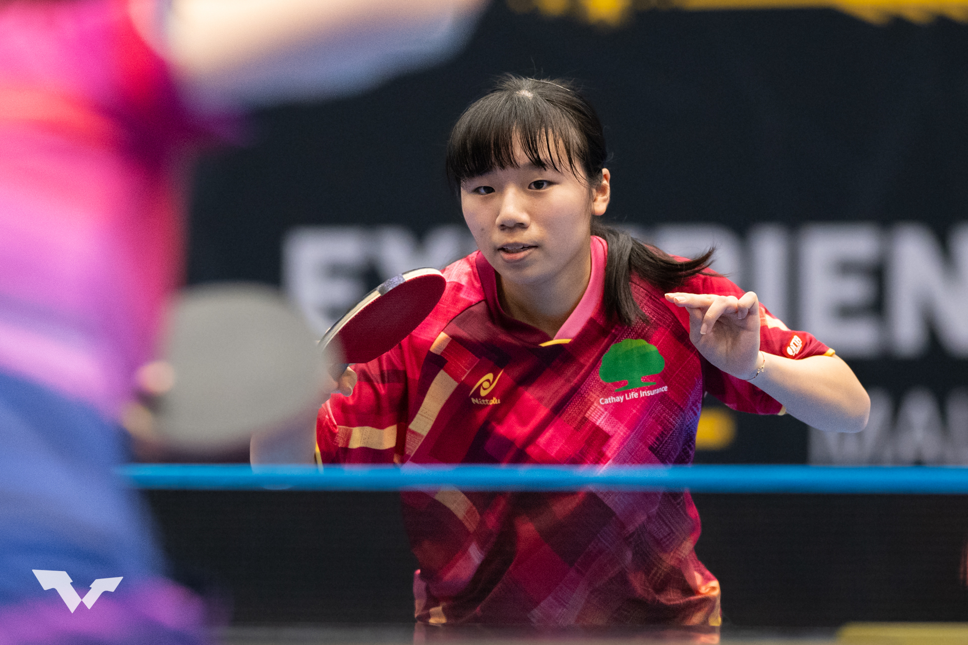 桌球》締造歷史！18歲彭郁涵扳倒日本名將 台灣第2位打進大滿貫女單8強