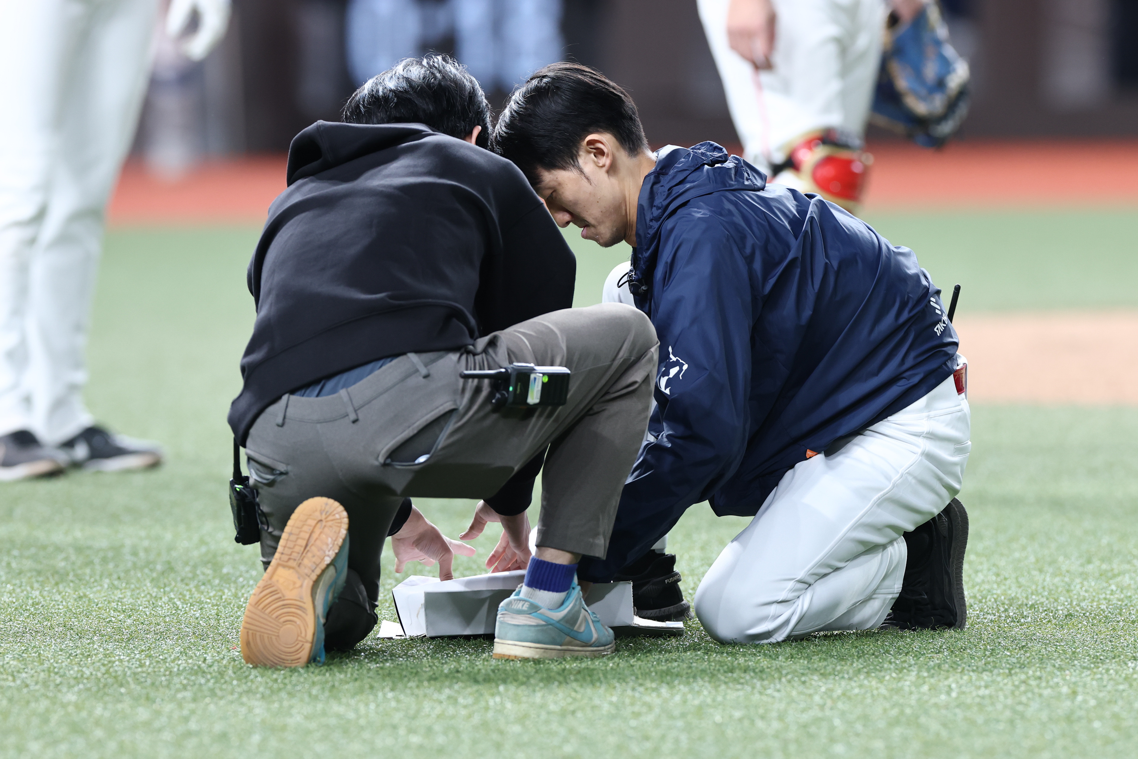 中職》大巨蛋又有老鼠入侵！　味全龍與富邦悍將之戰小插曲